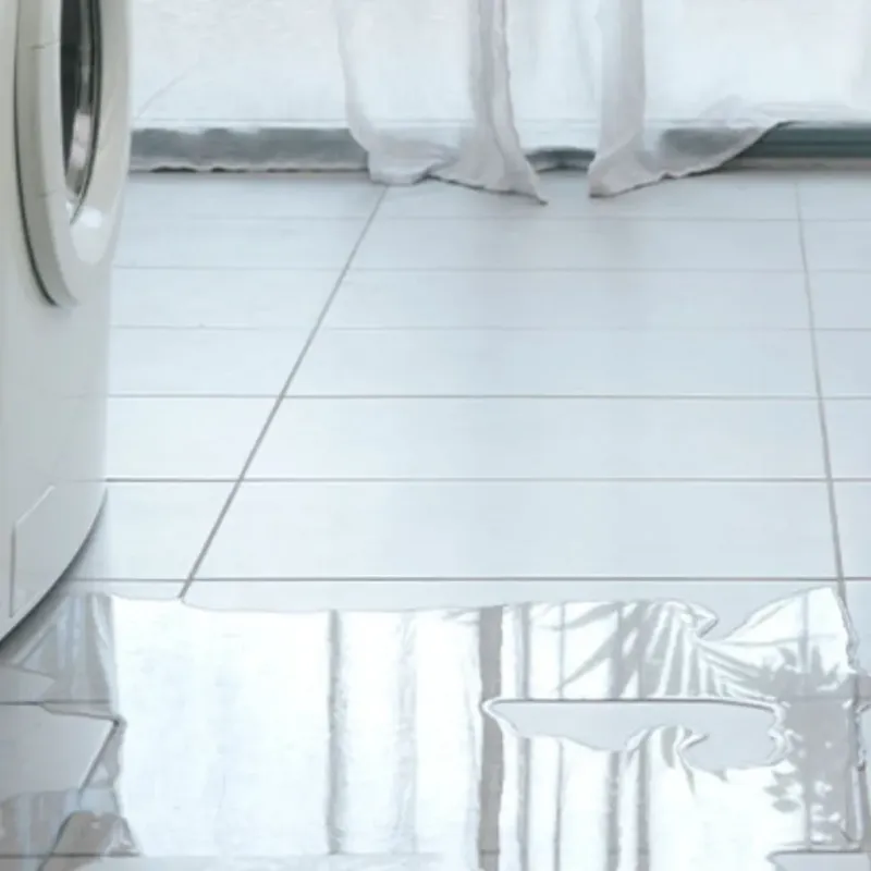 Appliance Leak Cleanup in Ashford, WI