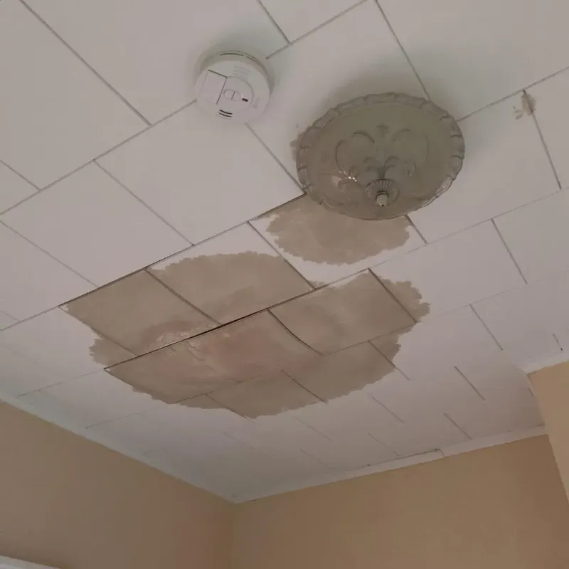 Ceiling Water Damage Repair in Ashford, WI