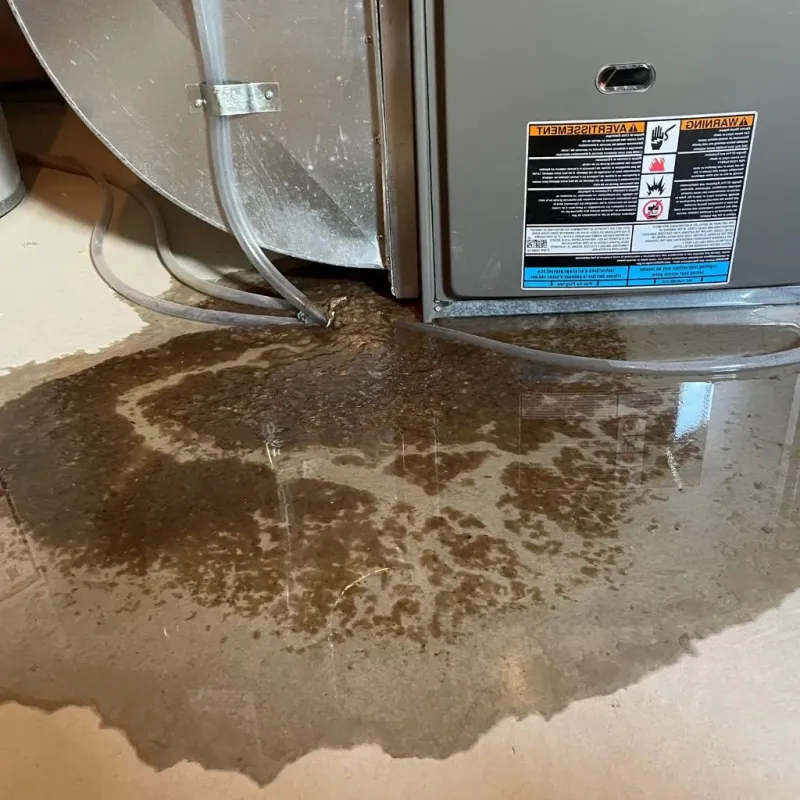 Pipe Burst and Leak Restoration in Ashford, WI