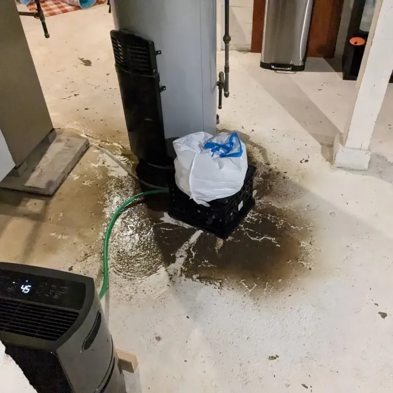 Sewage Backup Cleanup Service in Ashford, WI